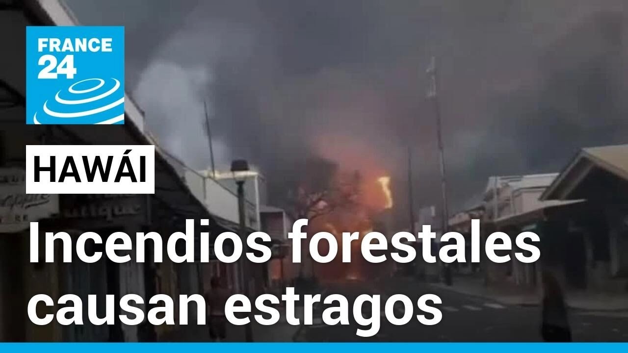 En Hawái, incendios forestales avivados por fuertes vientos causan estragos • FRANCE 24 Español