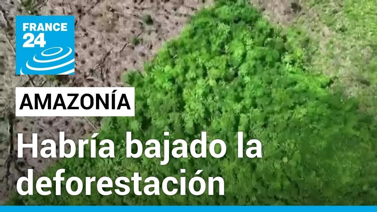 Brasil: deforestación en la Amazonía habría llegado a su nivel más bajo desde 2017