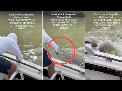 TIBURÓN ATACA Y ARRASTRA AL AGUA A UN PESCADOR EN FLORIDA, ESTADOS UNIDOS