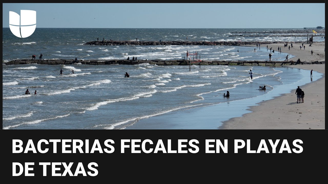 Encuentran bacterias fecales en el 90% de las playas en Texas, advierte un estudio