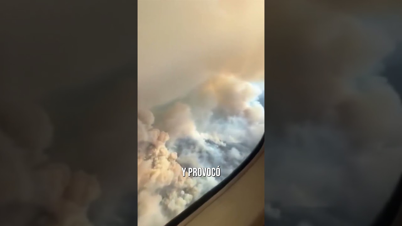 Los incendios forestales en Oregon causan graves estragos