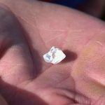 Un hombre encontró un diamante en Arkansas