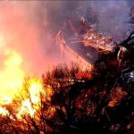 Una vivienda de Virginia explotó cuando los bomberos se encontraban dentro