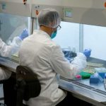 un análisis de ADN ayuda a identificar los restos de un marinero