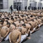 Muchos reclusos sentados en el suelo de una cárcel, solo vistiendo una pantaloneta corta y rapados por completo