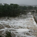 Un gran rio desbordándose y llevándose árboles y todo a su paso