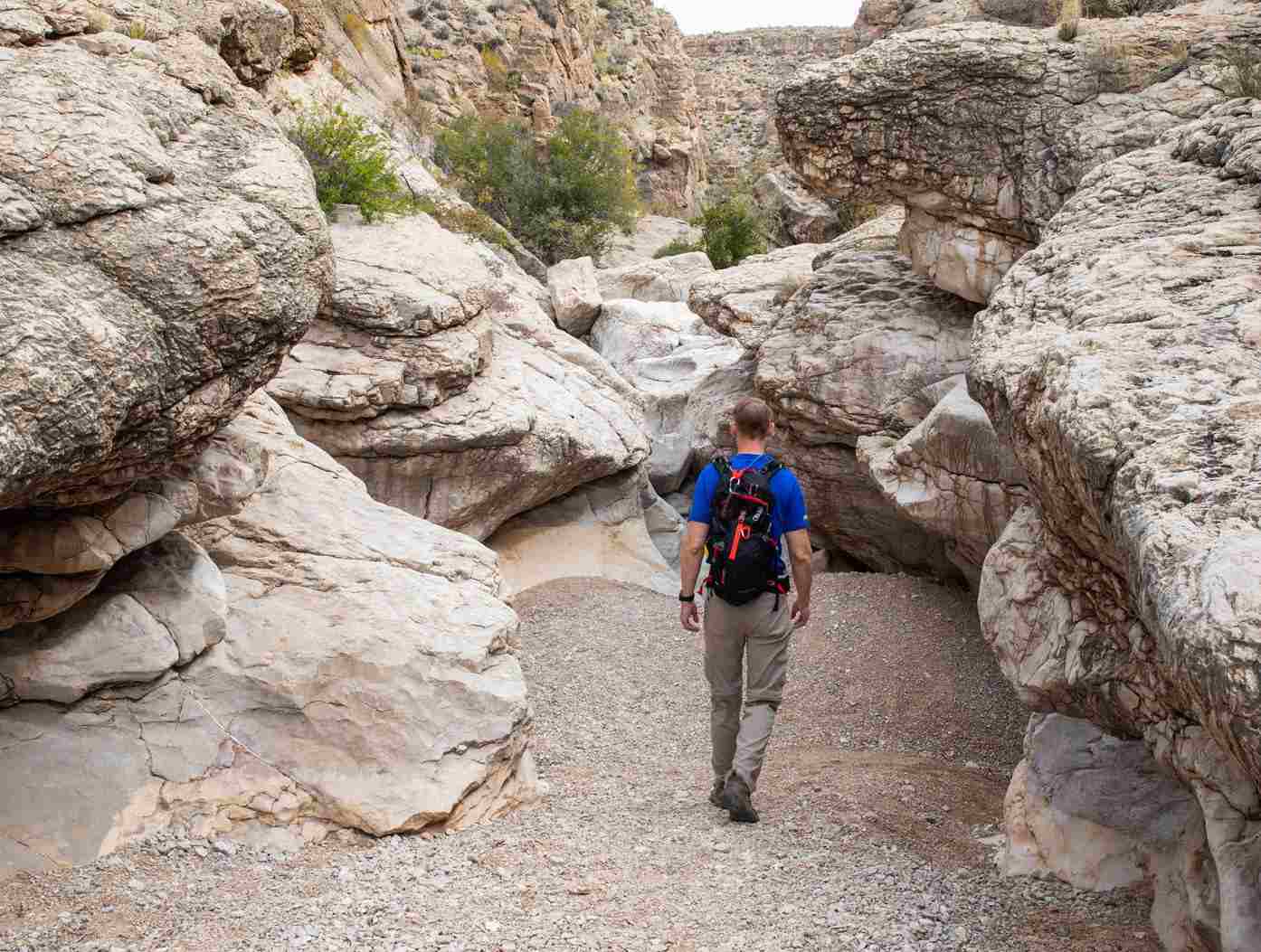 A man and his stepson die in the Big Bend National Park in Texas