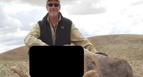 The girlfriend of a dentist in the United States is sentenced to 17 years in prison