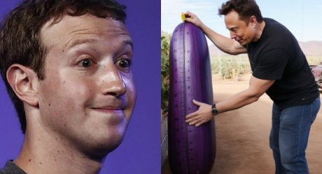 Elon Musk proposes Mark Zuckerberg an intimate measuring contest