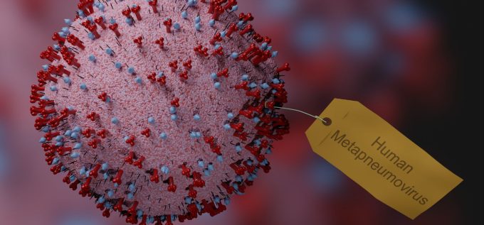 No, the new Chinese virus won’t be a pandemic Influenza remains the main concern in China
