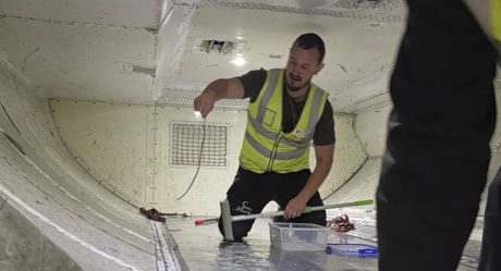 Stowaway Snake Delays Domestic Flight in Australia by Two Hours