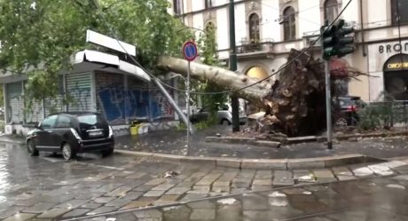 Woman Killed by Falling Tree During Violent Storm in Northern Italy